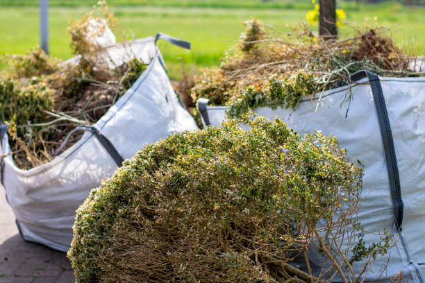 Best Basement Cleanout Services  in Cartersville, GA